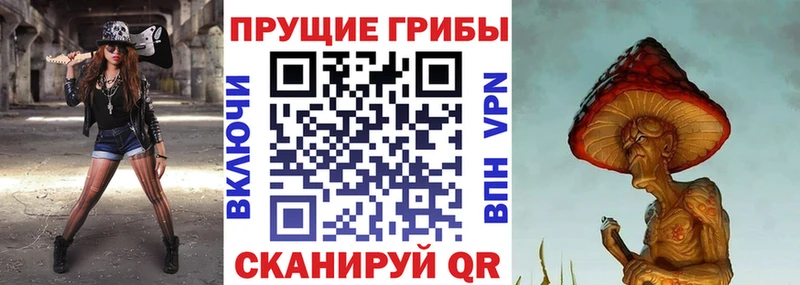цены наркотик  Елабуга  mega tor  Галлюциногенные грибы Psilocybe 