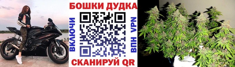 Бошки марихуана гибрид  дарнет шоп  Елабуга 